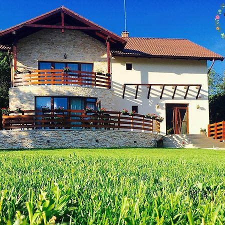 Pensiunea Casa Florela Capusu Mic Экстерьер фото