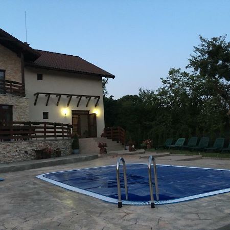 Pensiunea Casa Florela Capusu Mic Экстерьер фото