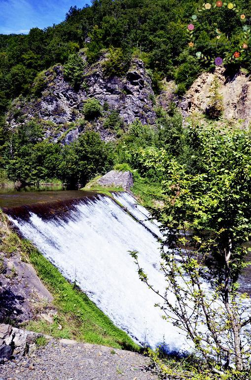 Pensiunea Casa Florela Capusu Mic Экстерьер фото