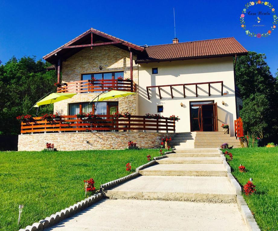 Pensiunea Casa Florela Capusu Mic Экстерьер фото